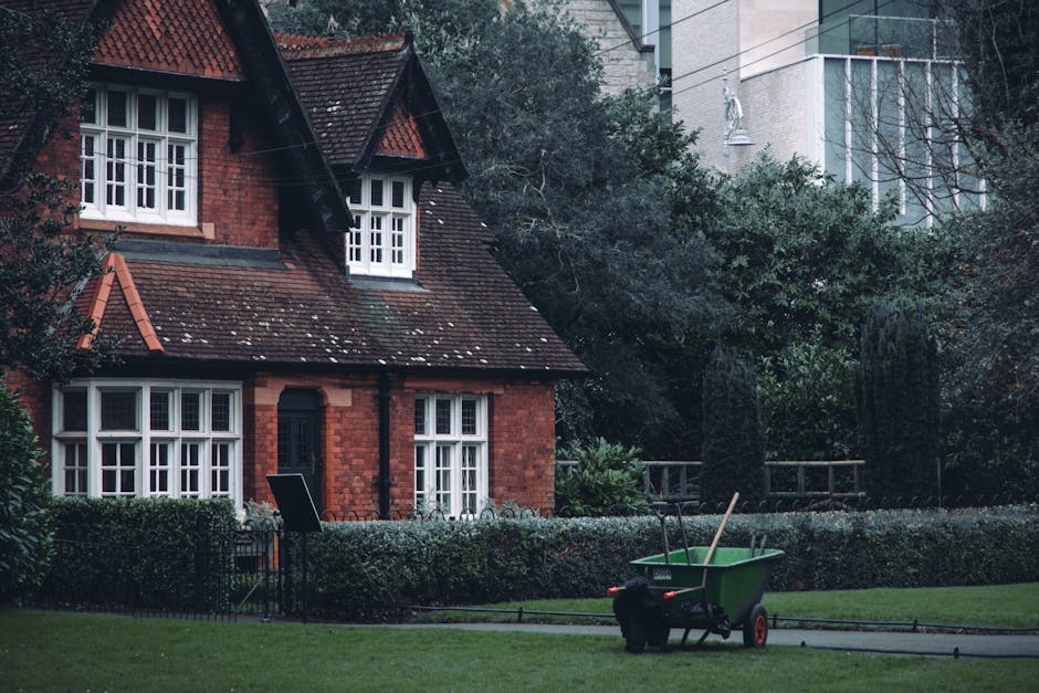 Wardown Park removals insider tips for heritage homes Luton